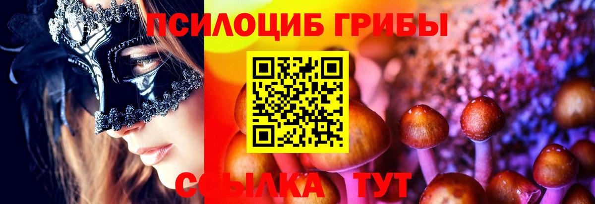 Галлюциногенные грибы Psilocybine cubensis Татарск